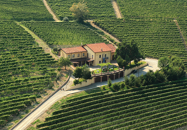 barolo winery
