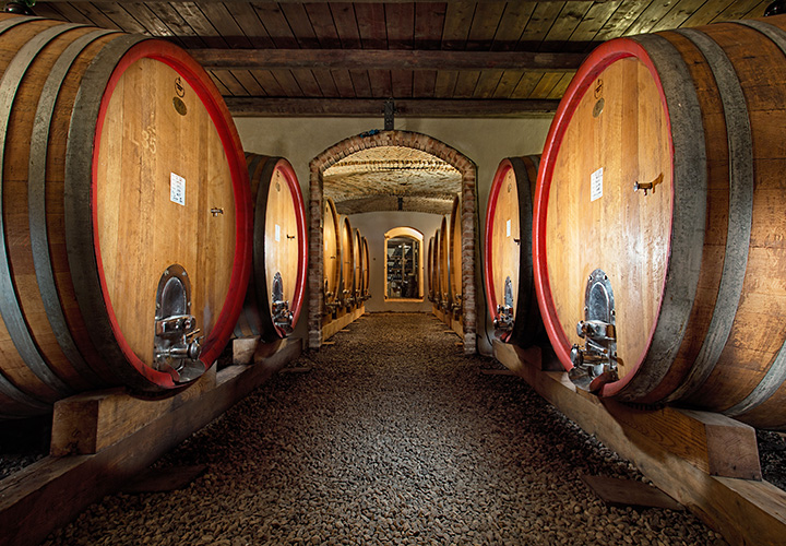 langhe wine tasting