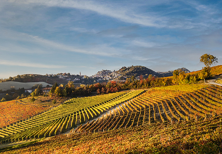 langhe wine tour